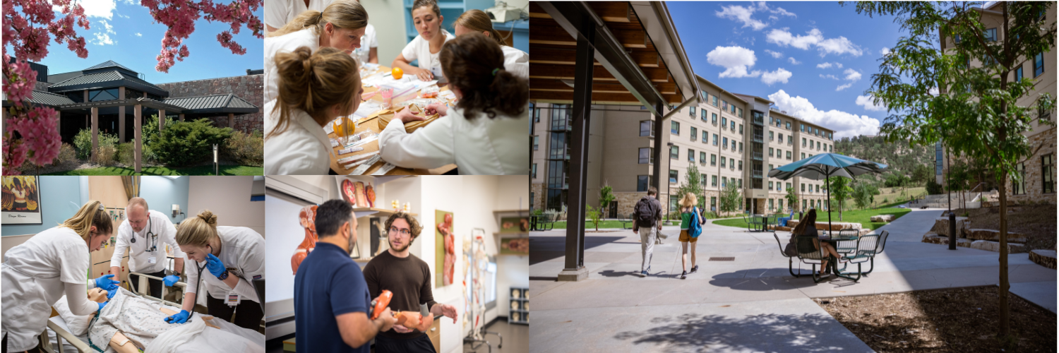 College with an image of University Hall, the Alpine Village Residence Halls, and nursing students praciting skills.