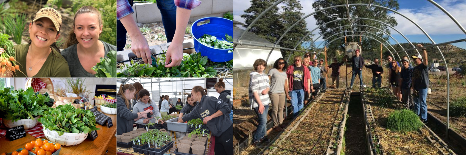 College with images of students working at the UCCS Farm.