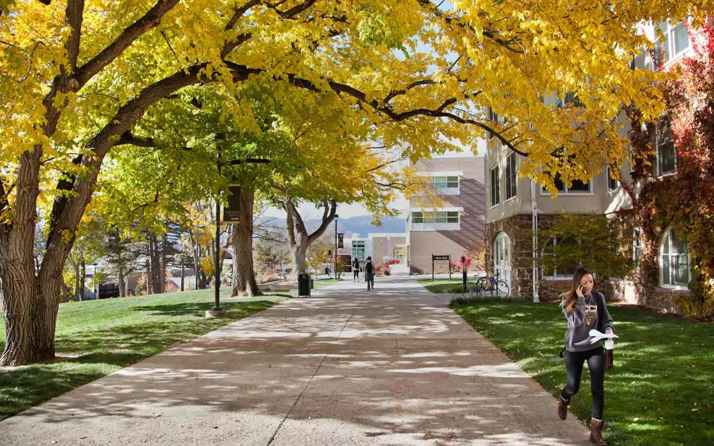 student walking under trees on campus