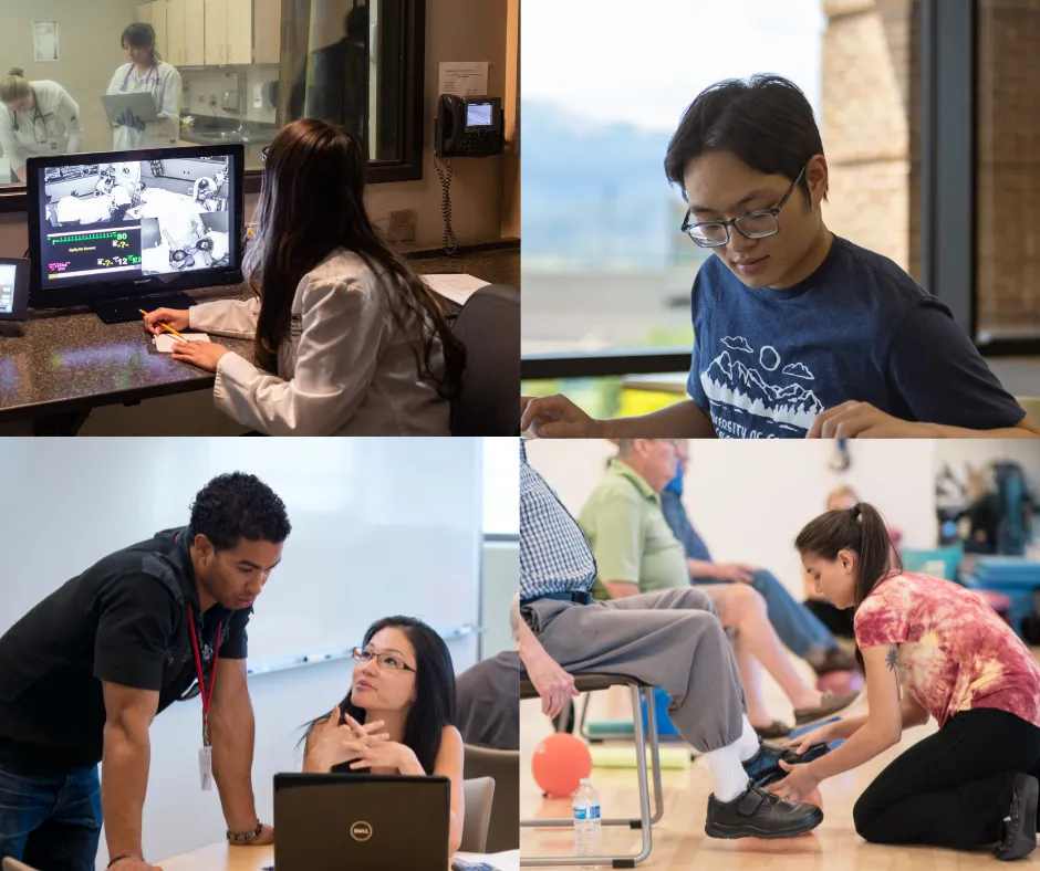 Photo college of a student being tutored in the Science Center, a male student studying for a biochem exam, a female student observing peer nuring students, and a student doing physical therapy with an elderly man.