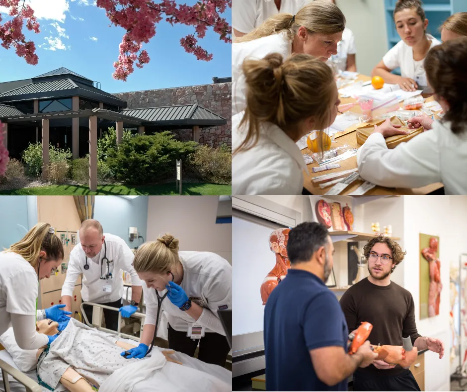 Collage of University Hall, and different groups of nursing students practicing their skills.